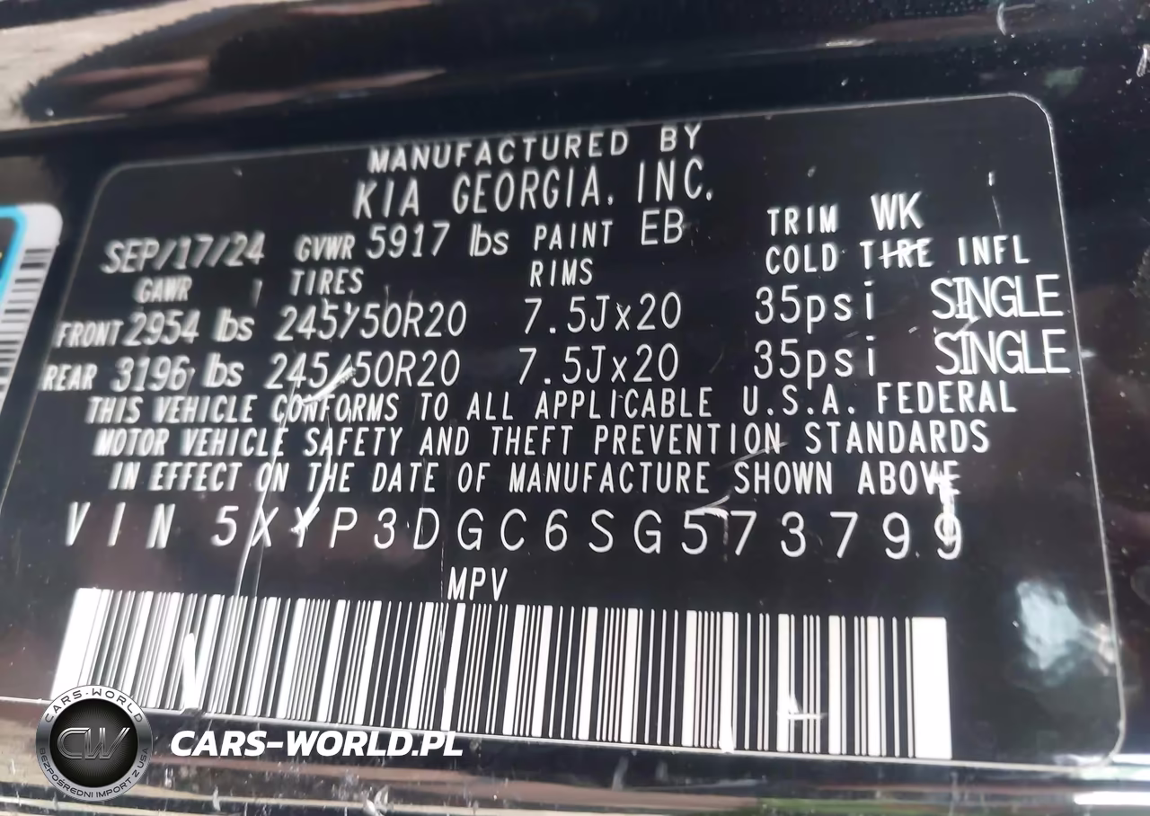 2025 Kia Telluride Ex X-Line VIN:5XYP3DGC6SG573799 - 9