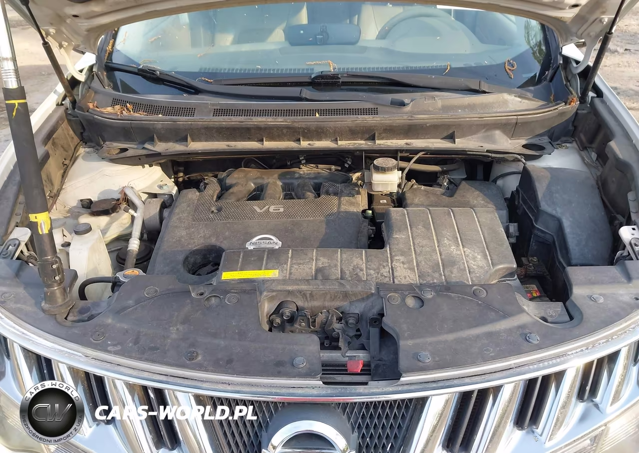 2010 Nissan Murano Sl VIN:JN8AZ1MU3AW011655 - 10