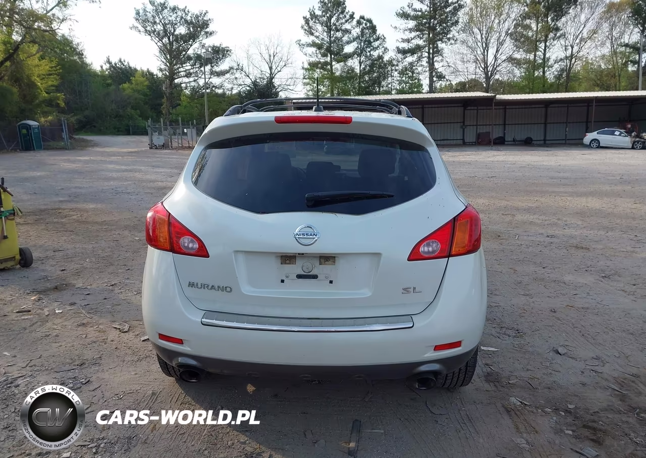 2010 Nissan Murano Sl VIN:JN8AZ1MU3AW011655 - 16