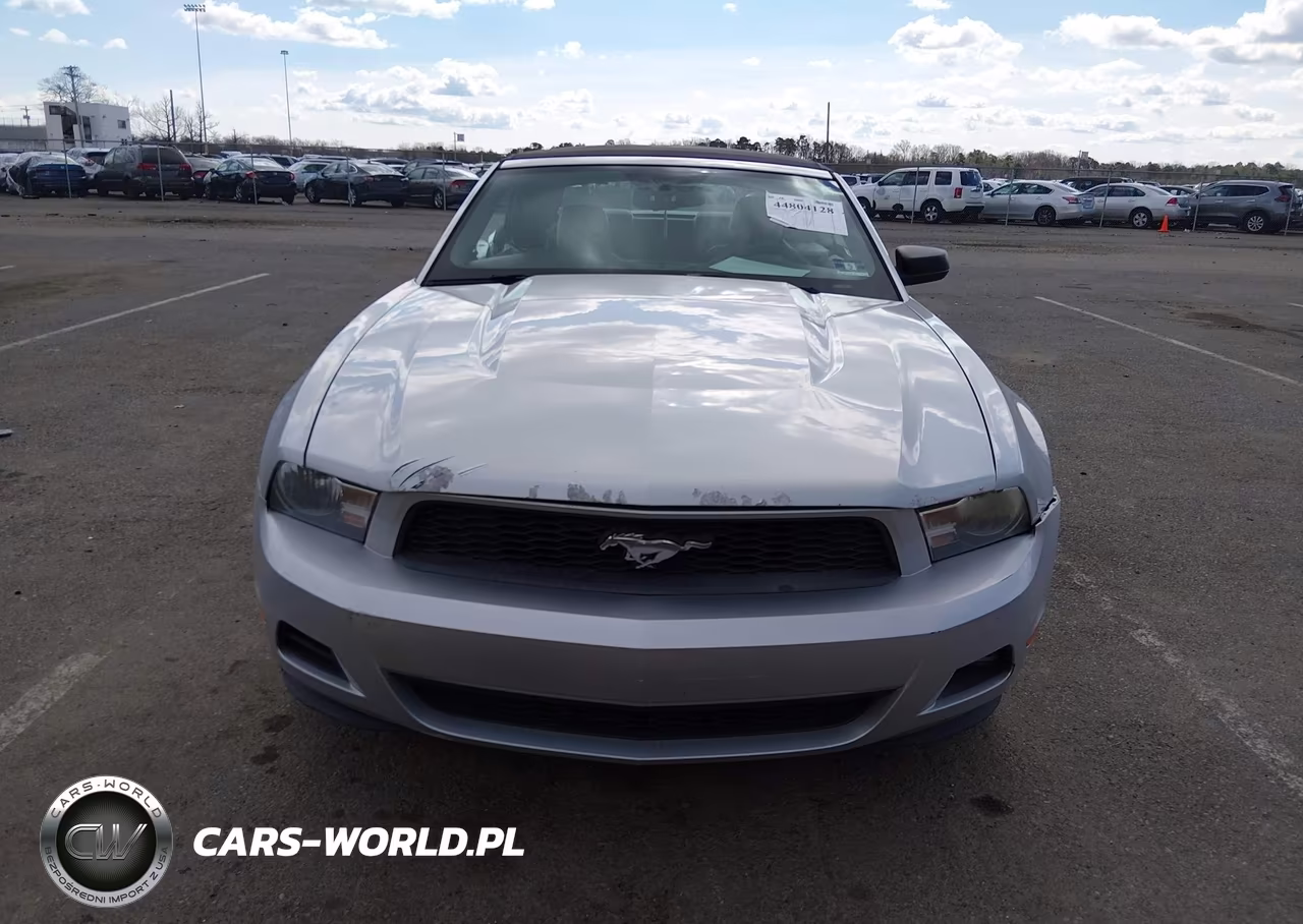 2010 Ford Mustang V6-V6 Premium VIN:1ZVBP8EN4A5173965 - 12