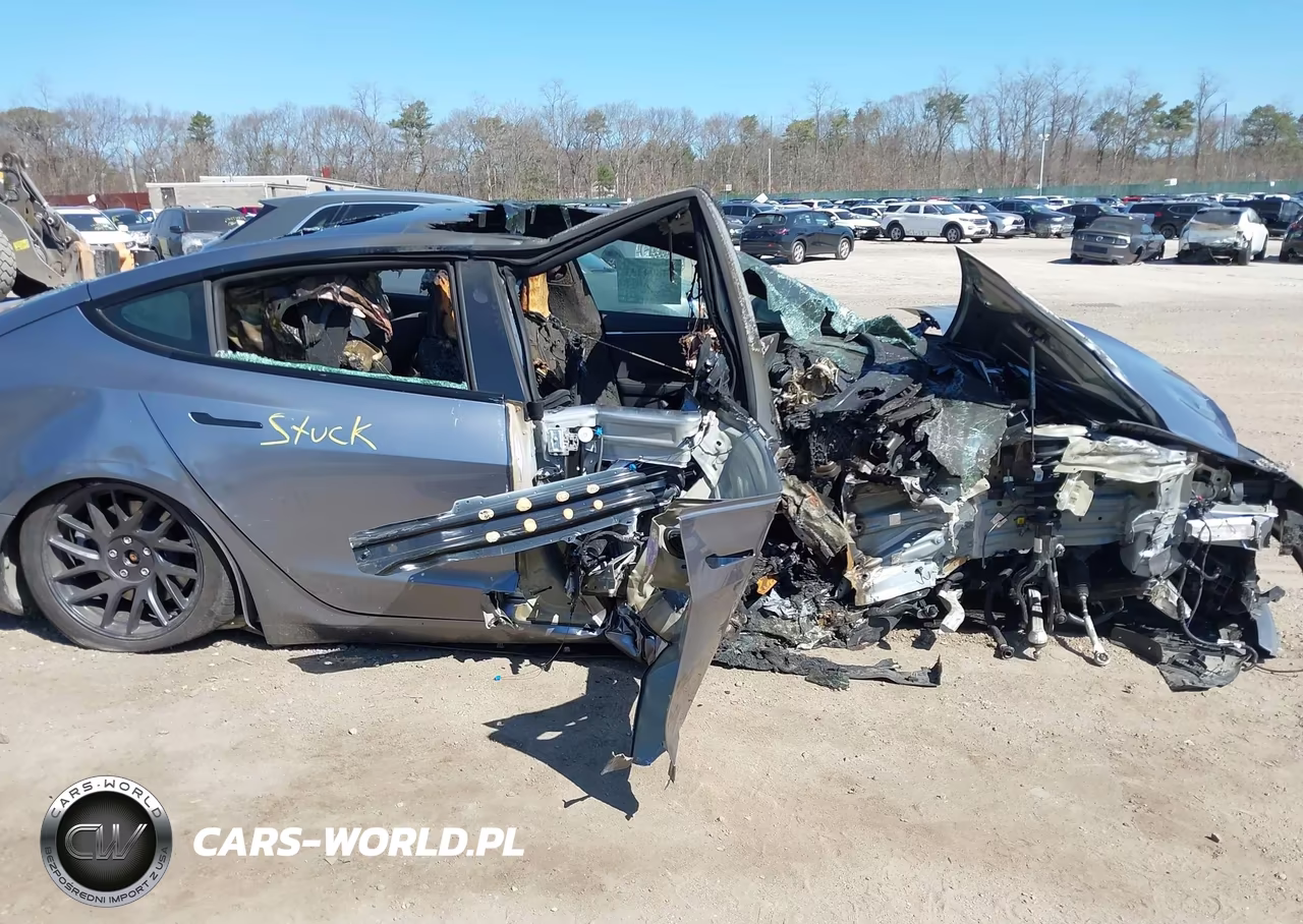 2025 Tesla Model 3 Long Range All-Wheel Drive VIN:5YJ3E1EB6SF993846 - 12