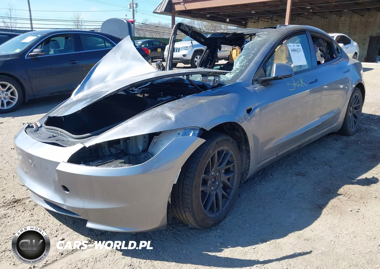 2025 Tesla Model 3 Long Range All-Wheel Drive VIN:5YJ3E1EB6SF993846 - 2