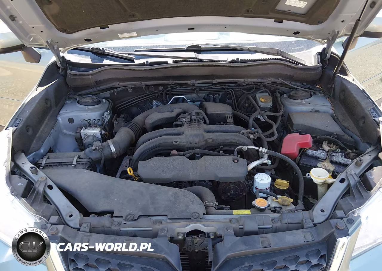 2015 Subaru Forester 2.5I Premium VIN:JF2SJADC9FH553791 - 10