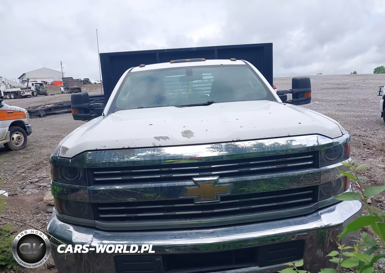 2016 Chevrolet Silverado 3500Hd Chassis Wt VIN:1GB3CYC8XGF183052 - 12