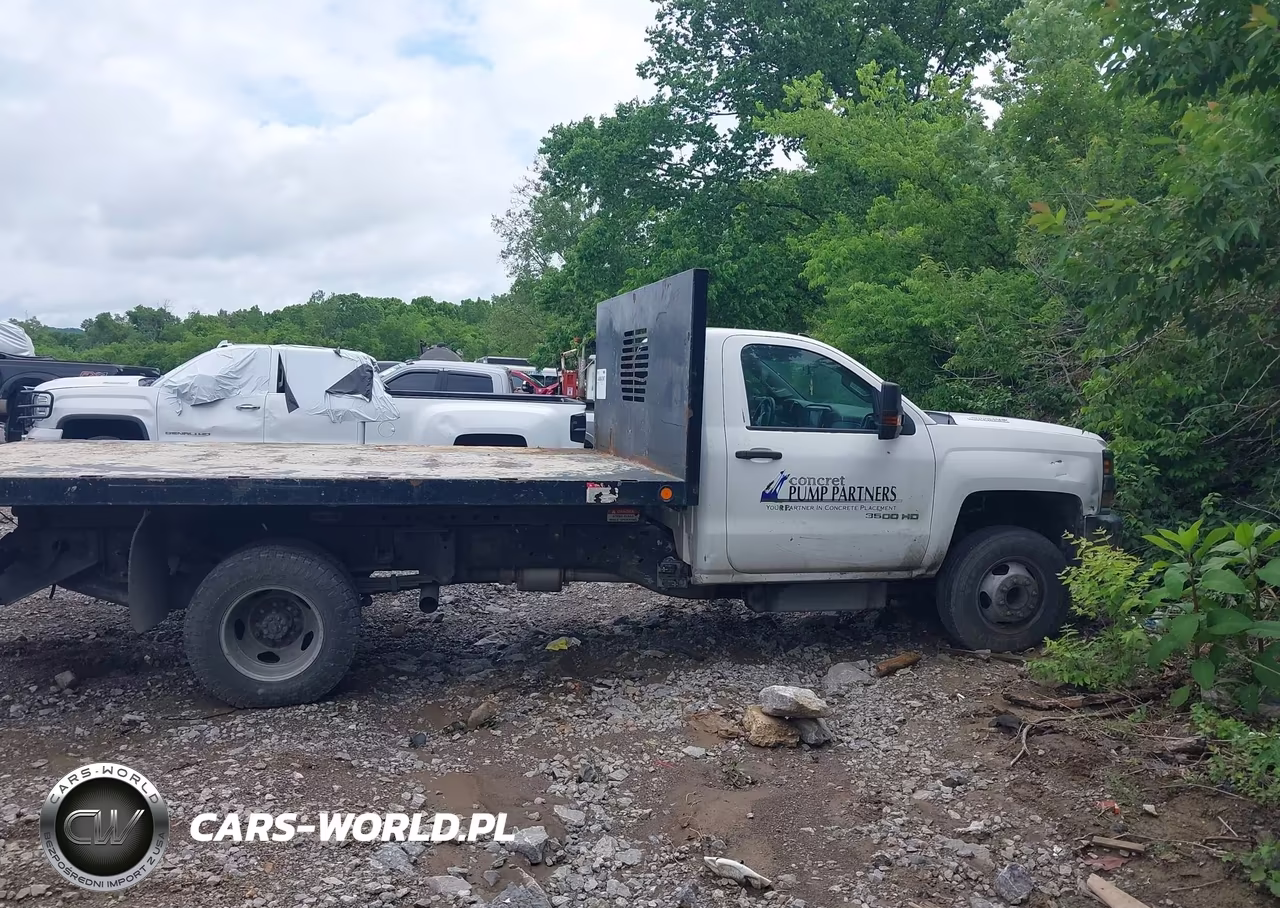 2016 Chevrolet Silverado 3500Hd Chassis Wt VIN:1GB3CYC8XGF183052 - 13