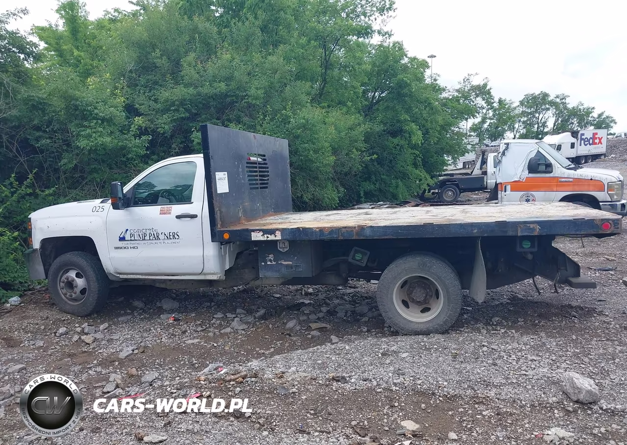 2016 Chevrolet Silverado 3500Hd Chassis Wt VIN:1GB3CYC8XGF183052 - 14