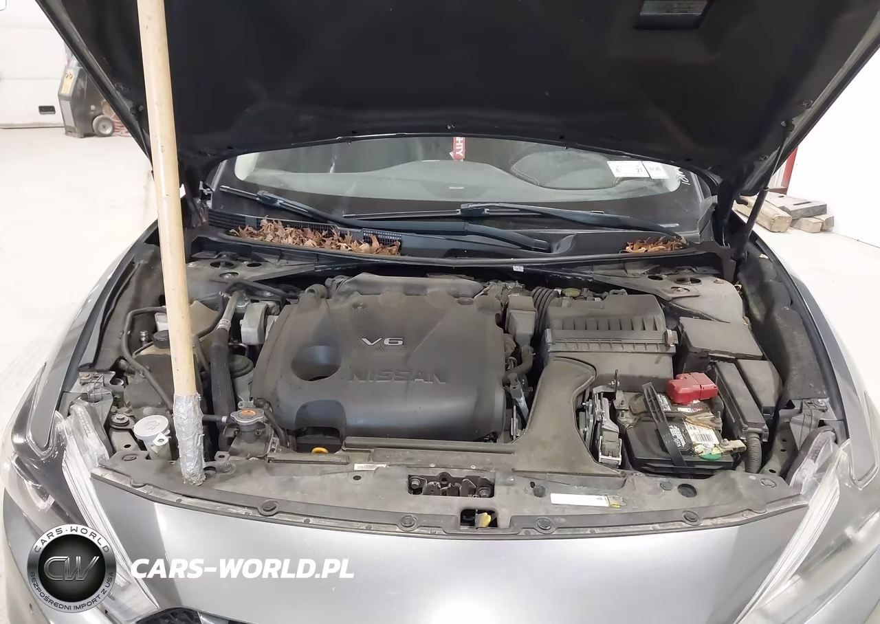 2018 Nissan Maxima 3.5 Sl VIN:1N4AA6AP5JC399901 - 10