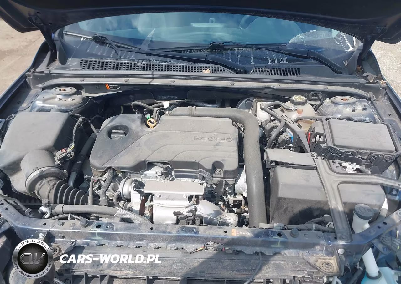 2019 Chevrolet Malibu Lt VIN:1G1ZD5ST3KF222301 - 10