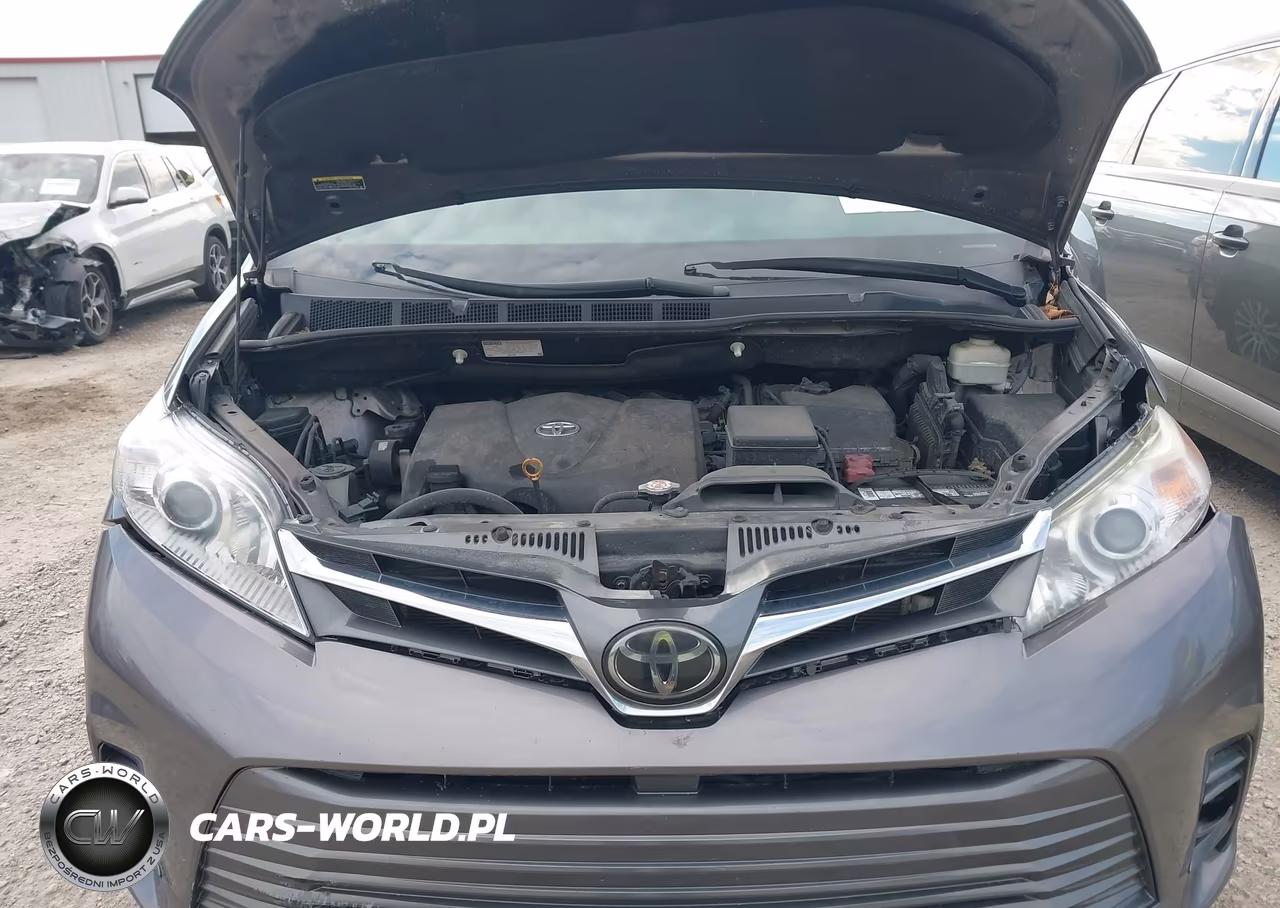 2019 Toyota Sienna Xle 8 Passenger VIN:5TDYZ3DC4KS020475 - 10