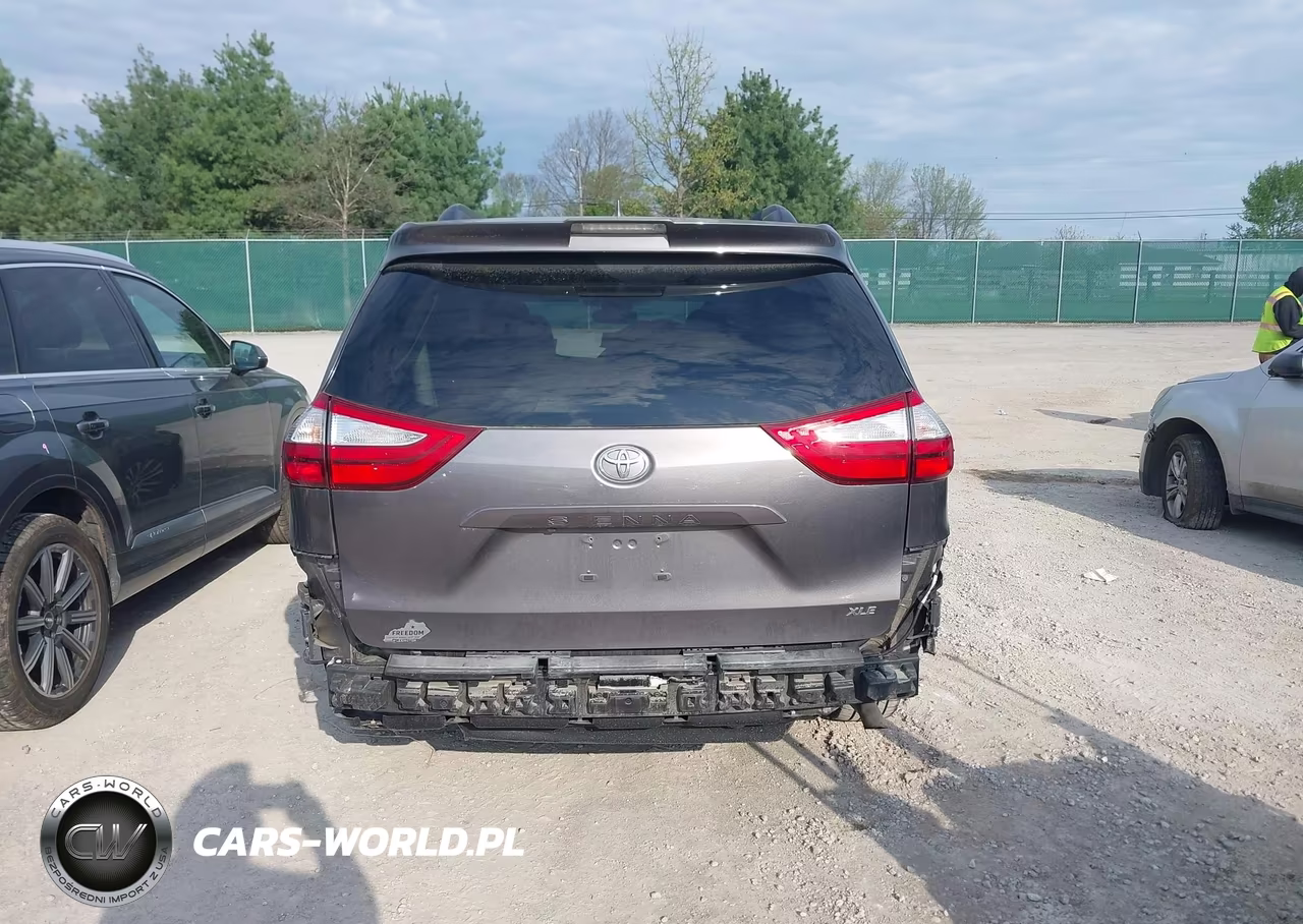 2019 Toyota Sienna Xle 8 Passenger VIN:5TDYZ3DC4KS020475 - 17