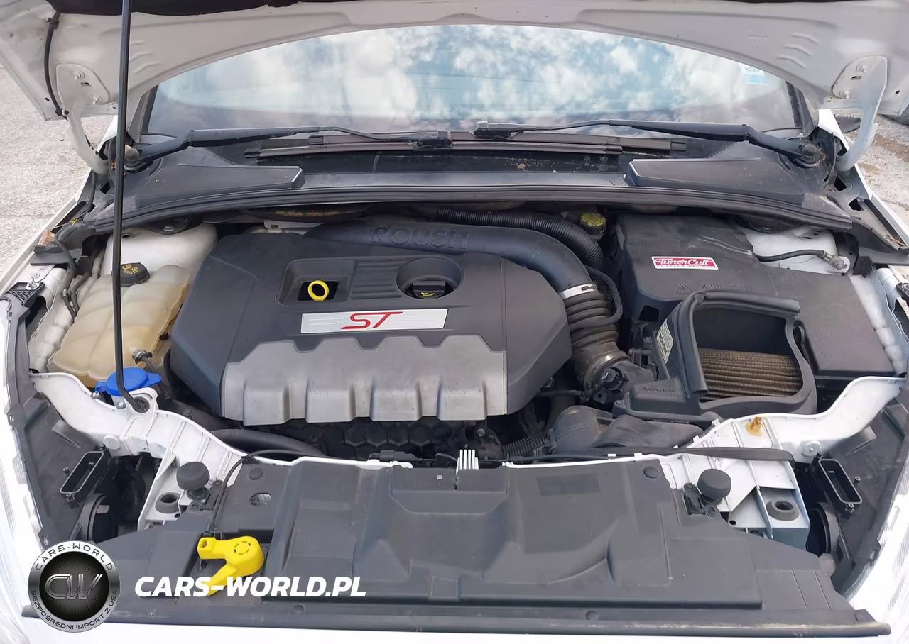 2017 Ford Focus St VIN:1FADP3L98HL253852 - 10