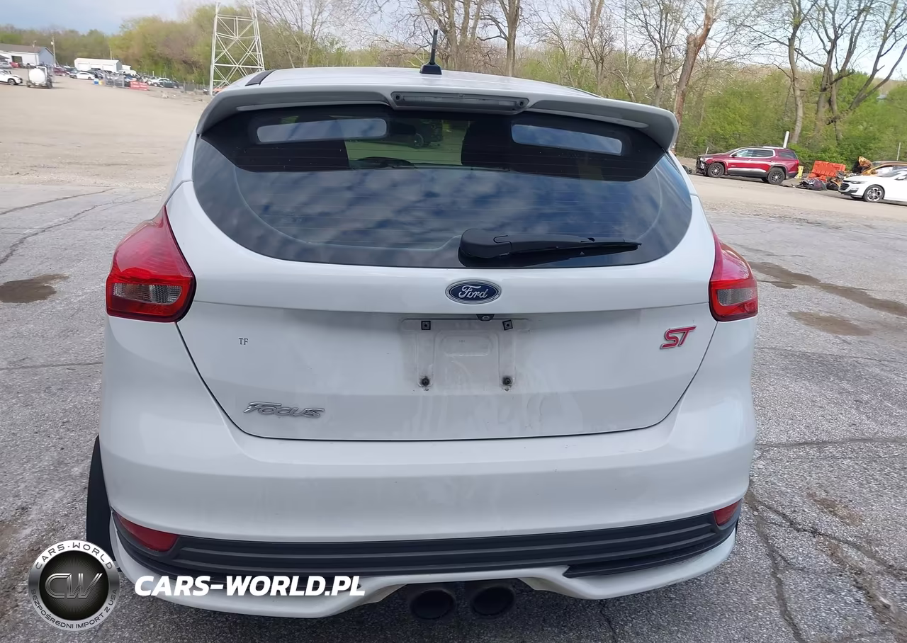 2017 Ford Focus St VIN:1FADP3L98HL253852 - 17