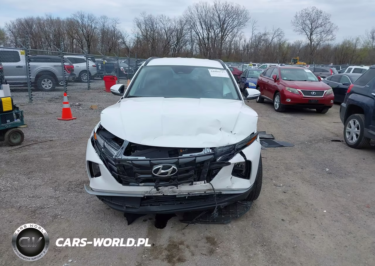 2023 Hyundai Tucson Sel VIN:5NMJBCAE8PH258139 - 12