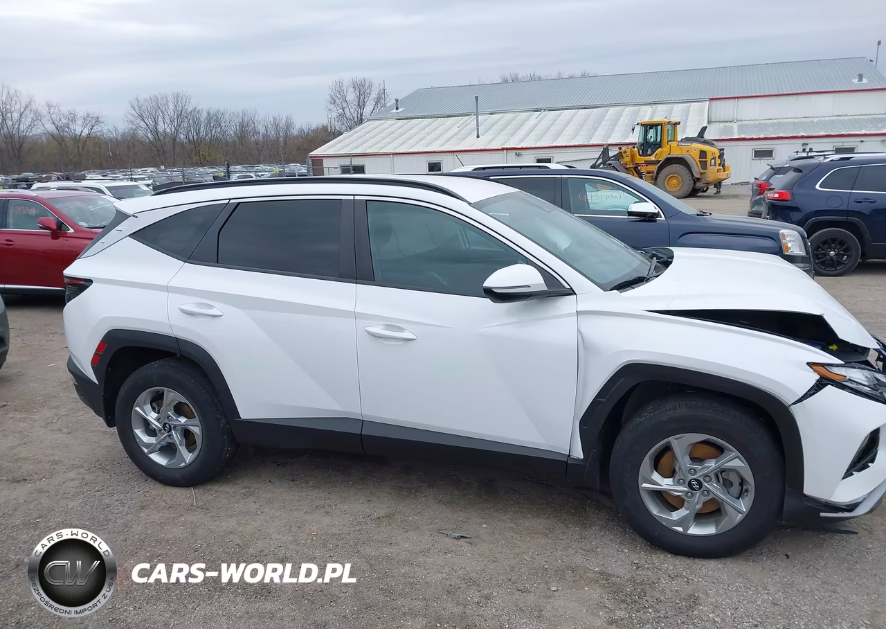 2023 Hyundai Tucson Sel VIN:5NMJBCAE8PH258139 - 13