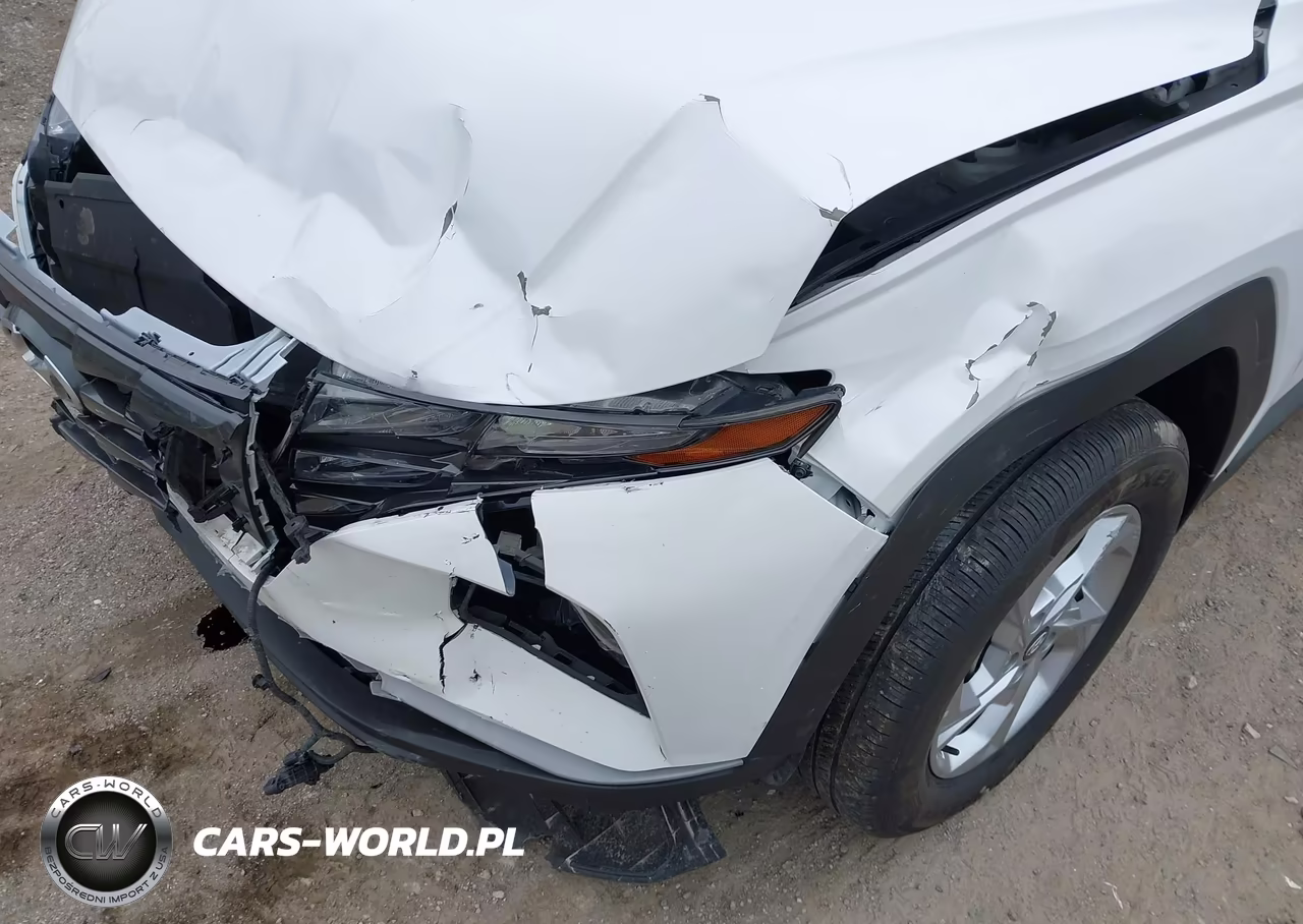 2023 Hyundai Tucson Sel VIN:5NMJBCAE8PH258139 - 6