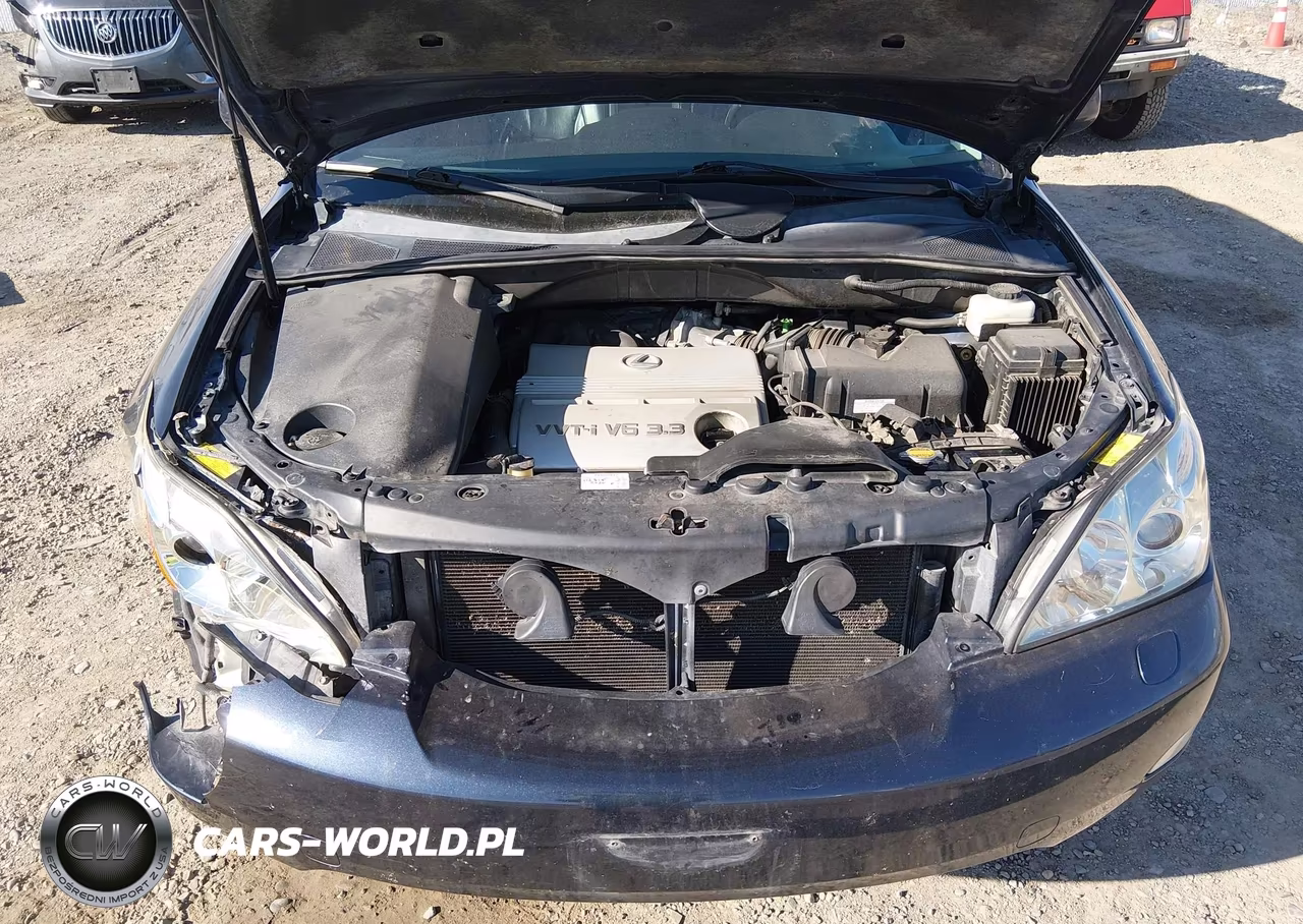 2006 Lexus Rx 330 VIN:2T2HA31U36C097790 - 10