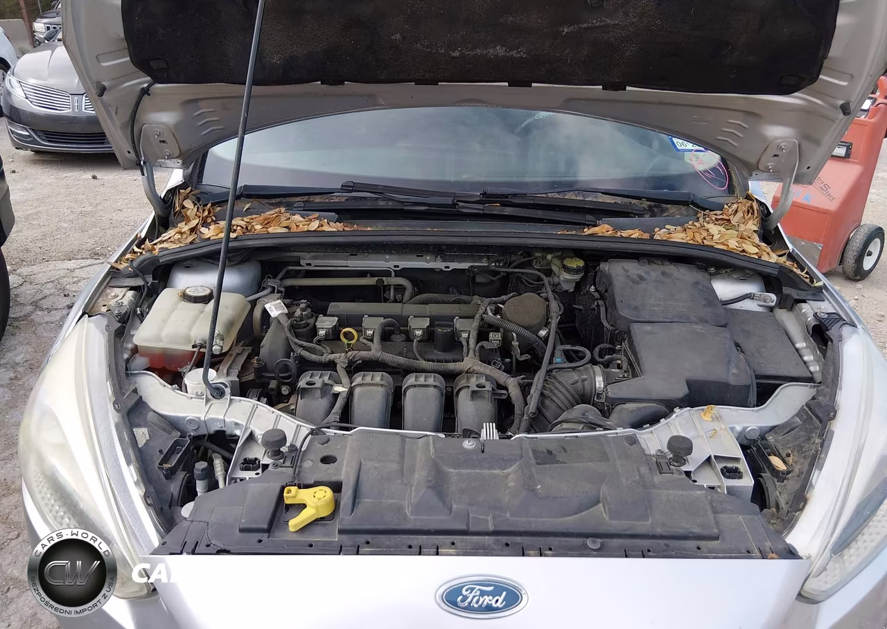 2016 Ford Focus Se VIN:1FADP3K21GL213812 - 10