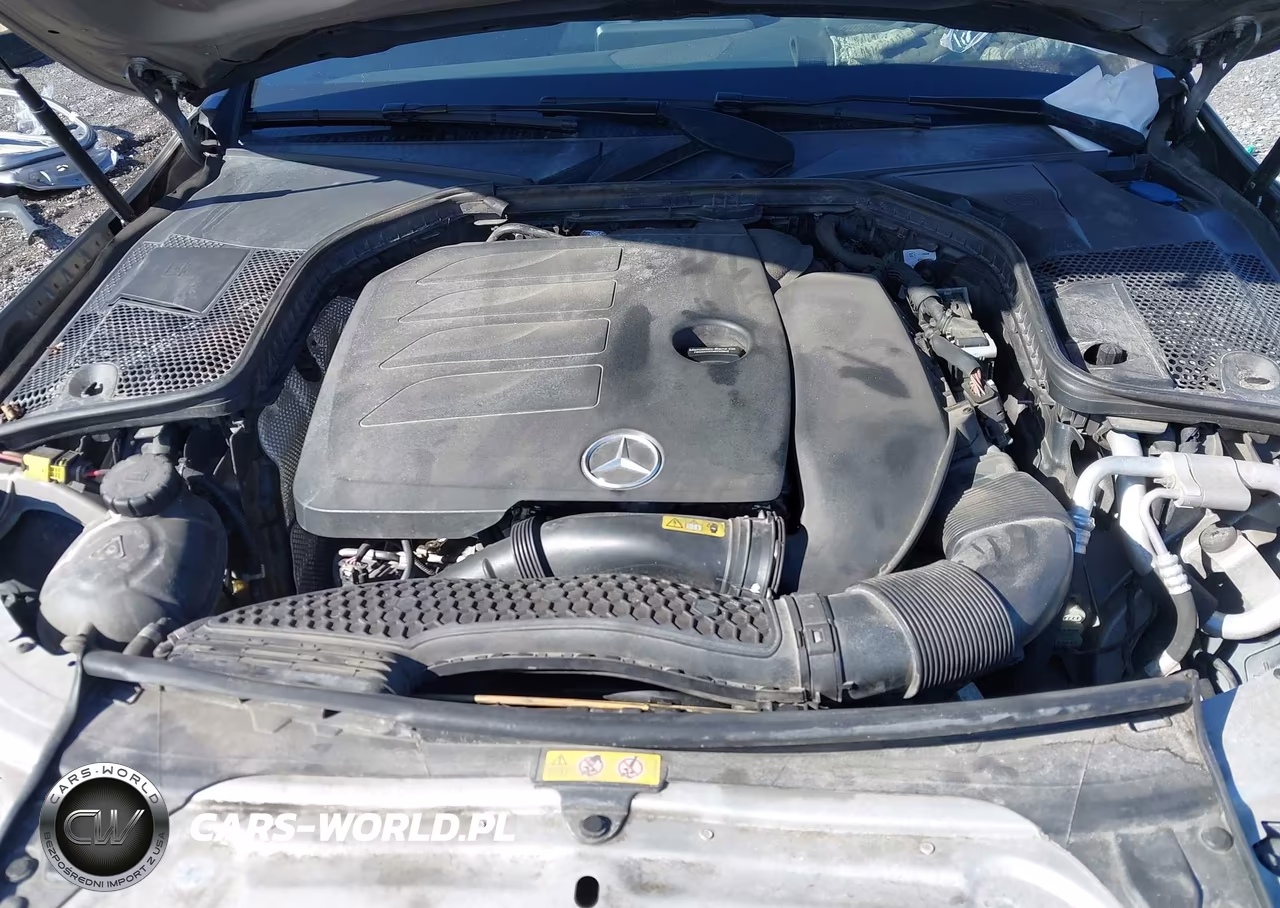 2019 Mercedes-Benz C 300 VIN:55SWF8DB5KU299216 - 10