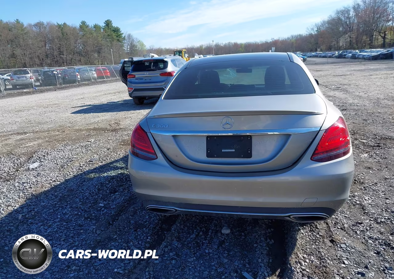 2019 Mercedes-Benz C 300 VIN:55SWF8DB5KU299216 - 17
