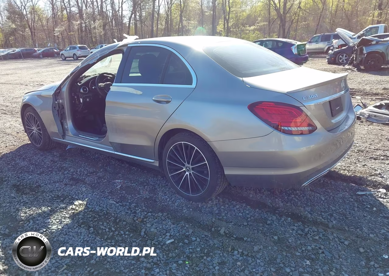 2019 Mercedes-Benz C 300 VIN:55SWF8DB5KU299216 - 3