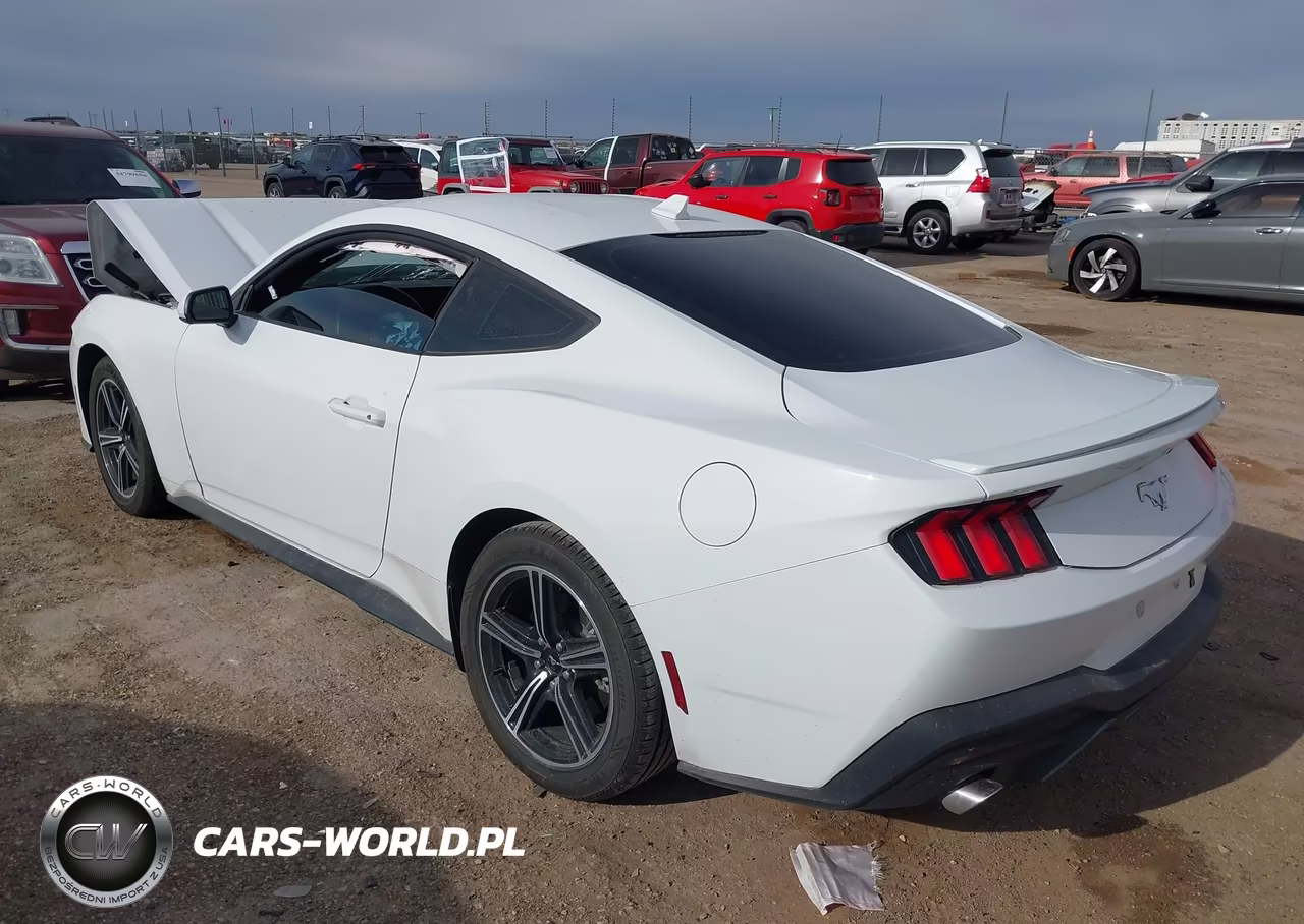 2024 Ford Mustang Ecoboost Premium Fastback VIN:1FA6P8TH8R5121015 - 3