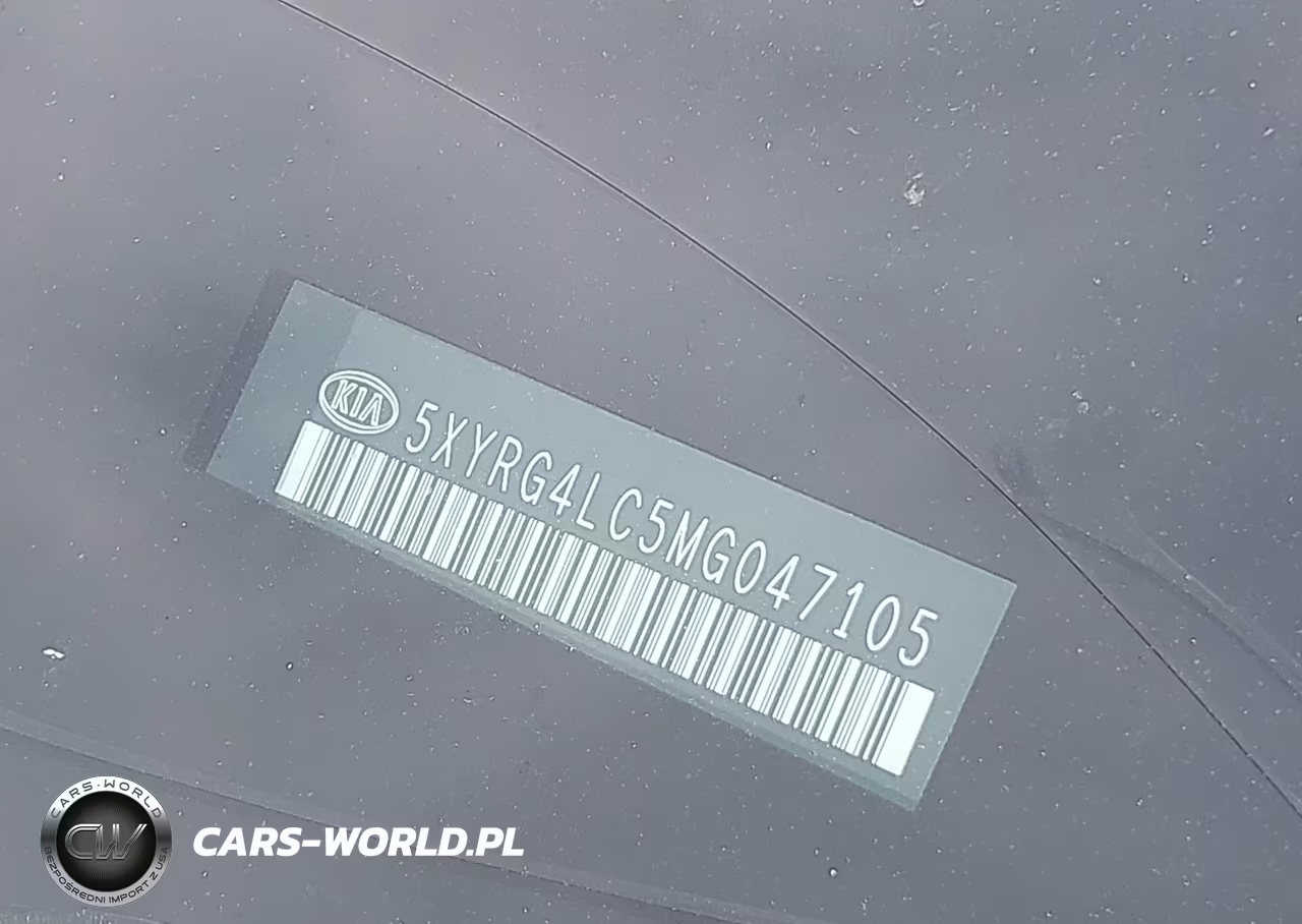 2021 Kia Sorento Lx VIN:5XYRG4LC5MG047105 - 17