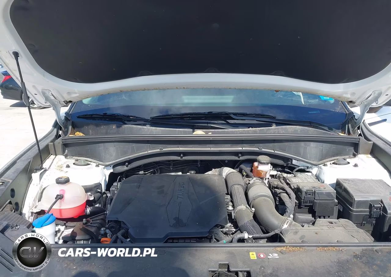 2023 Kia Sorento X-Line Ex VIN:5XYRHDLF9PG250347 - 10