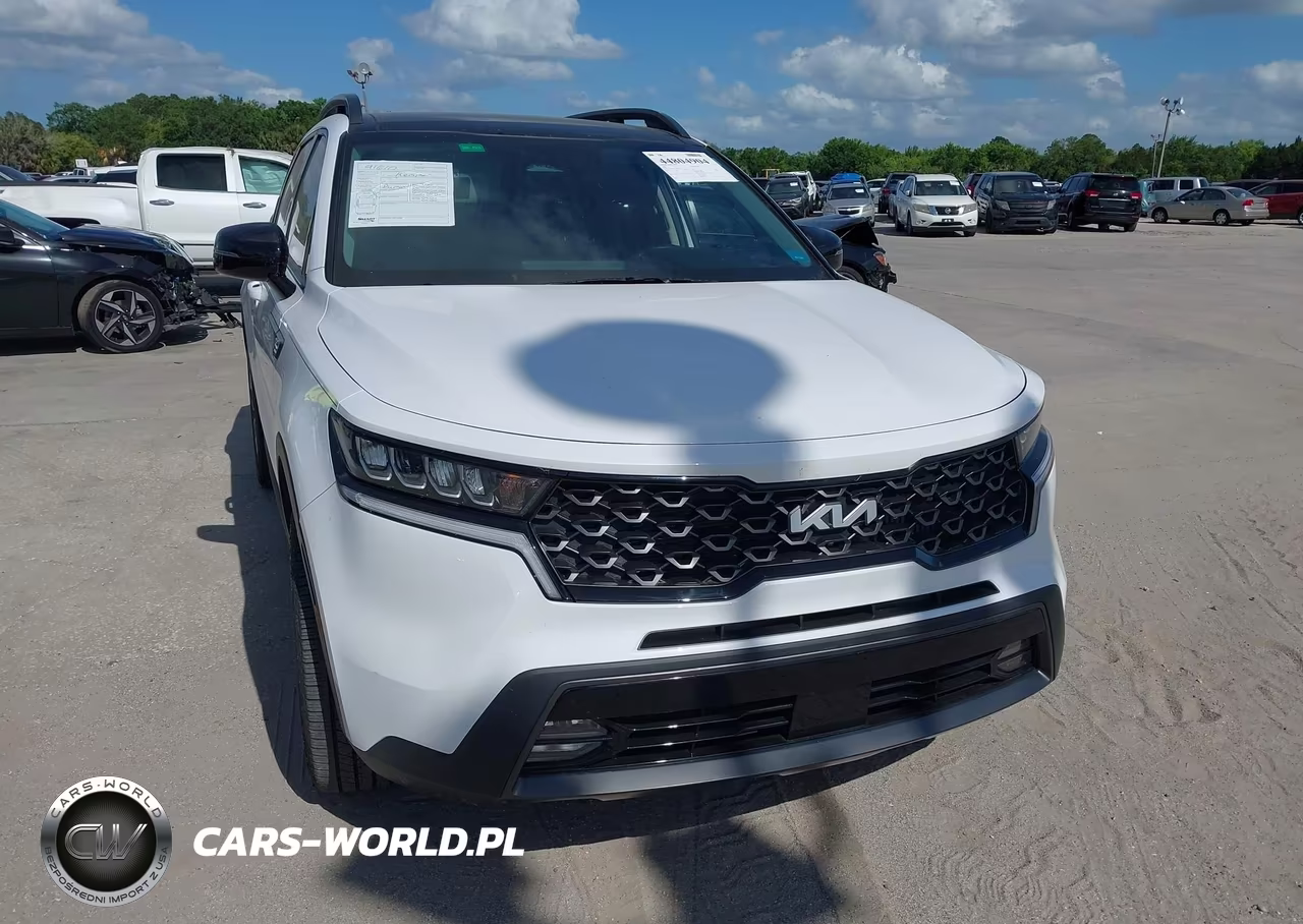 2023 Kia Sorento X-Line Ex VIN:5XYRHDLF9PG250347 - 12
