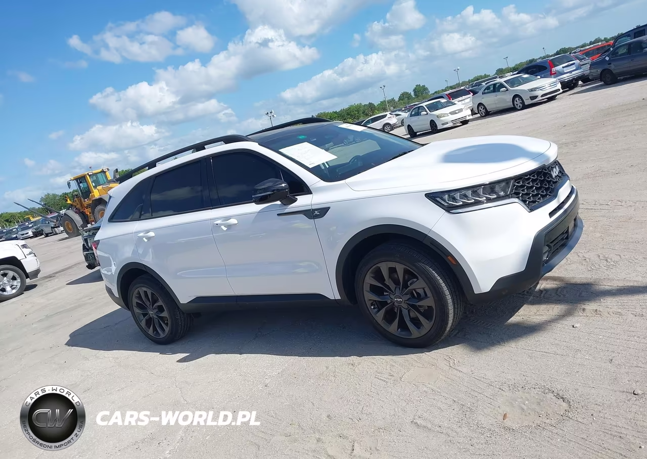 2023 Kia Sorento X-Line Ex VIN:5XYRHDLF9PG250347 - 13