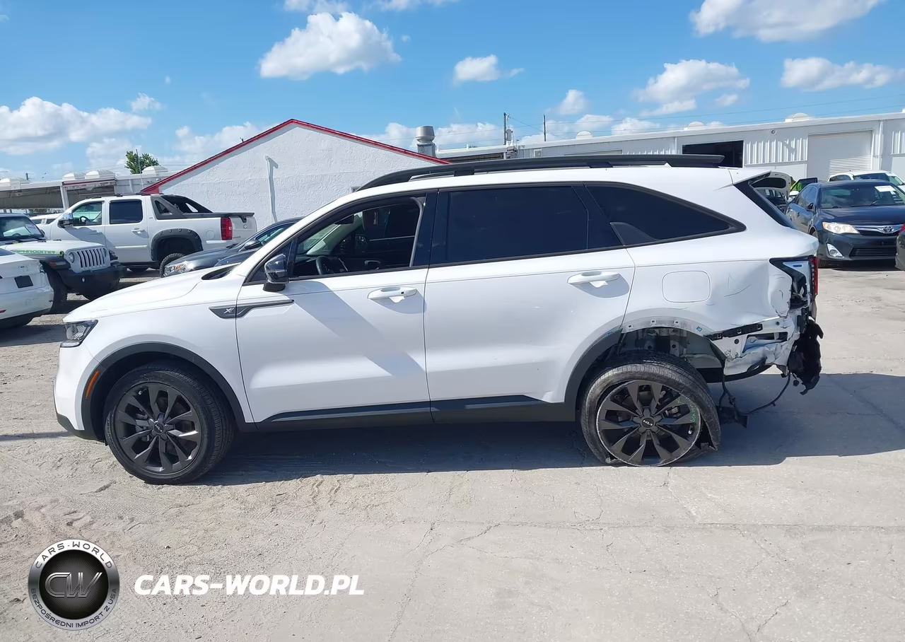 2023 Kia Sorento X-Line Ex VIN:5XYRHDLF9PG250347 - 14
