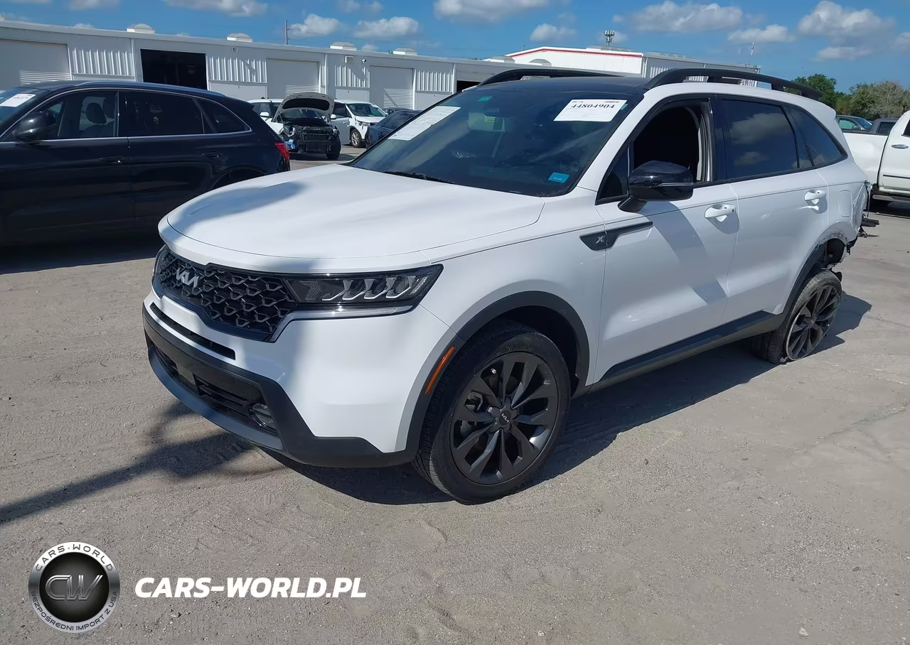 2023 Kia Sorento X-Line Ex VIN:5XYRHDLF9PG250347 - 2