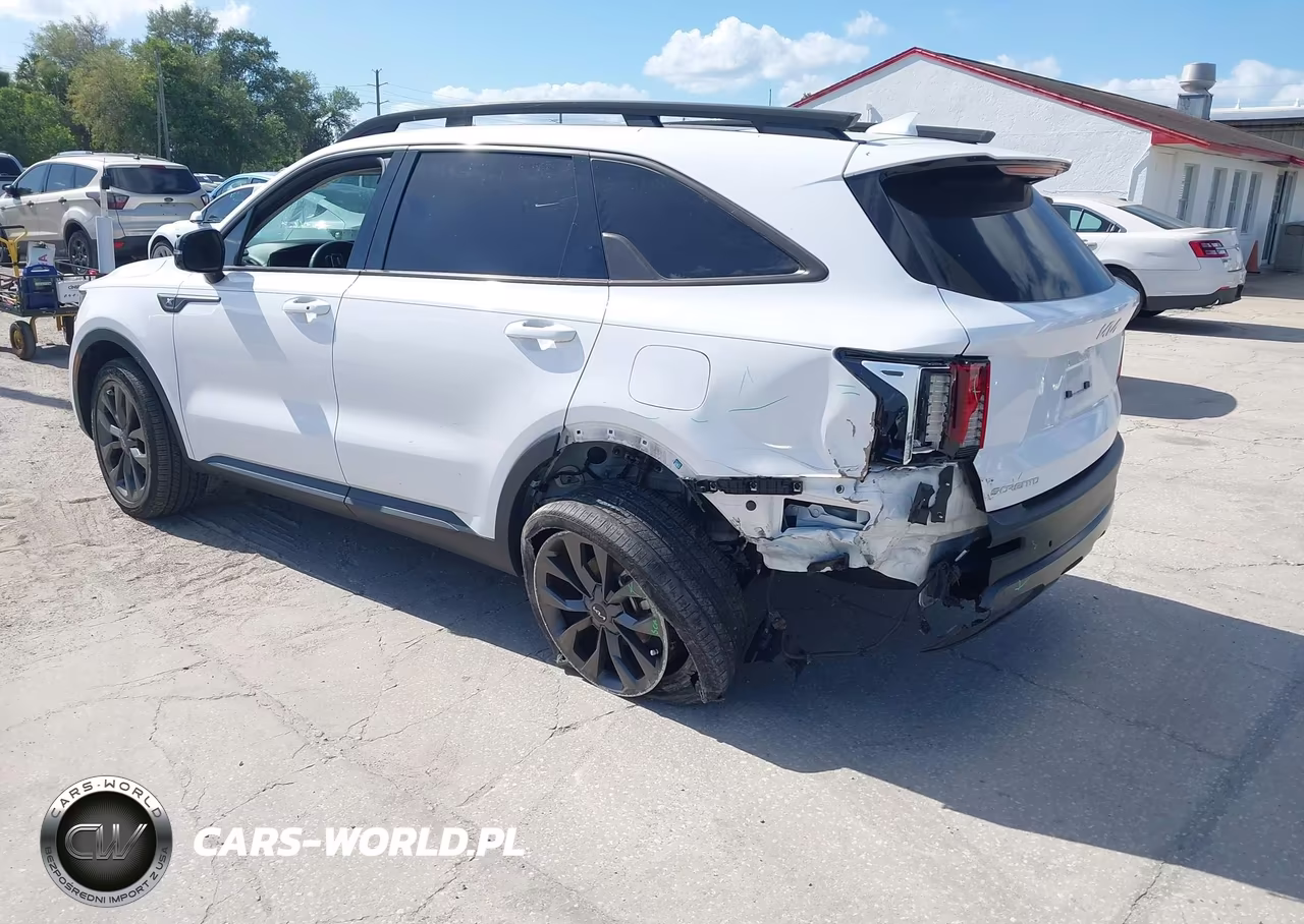 2023 Kia Sorento X-Line Ex VIN:5XYRHDLF9PG250347 - 3