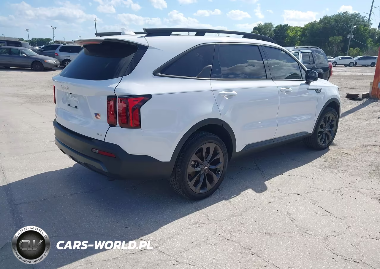2023 Kia Sorento X-Line Ex VIN:5XYRHDLF9PG250347 - 4