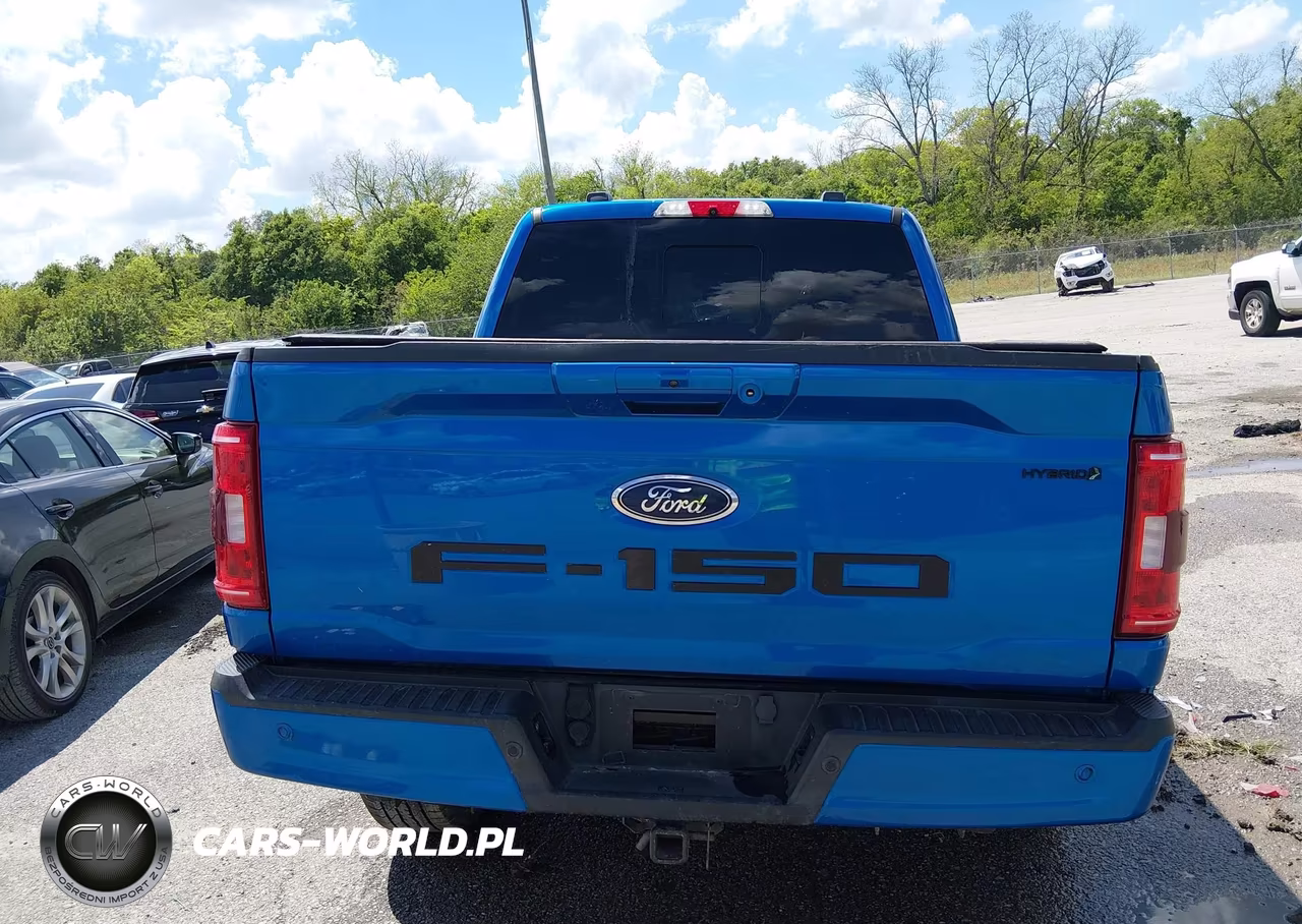 2021 Ford F-150 Xlt VIN:1FTFW1ED5MFC98901 - 16