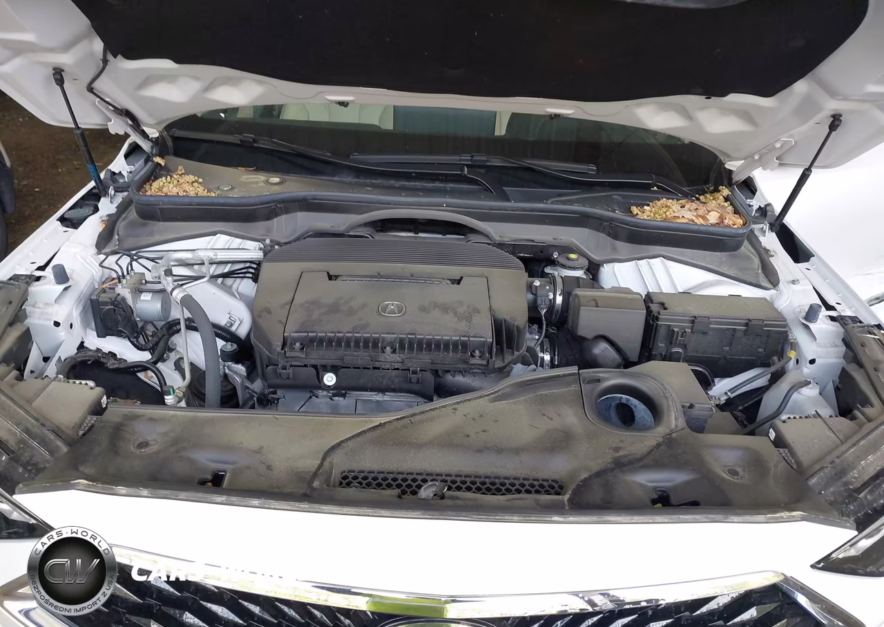 2024 Acura Mdx Standard VIN:5J8YE1H38RL035567 - 10