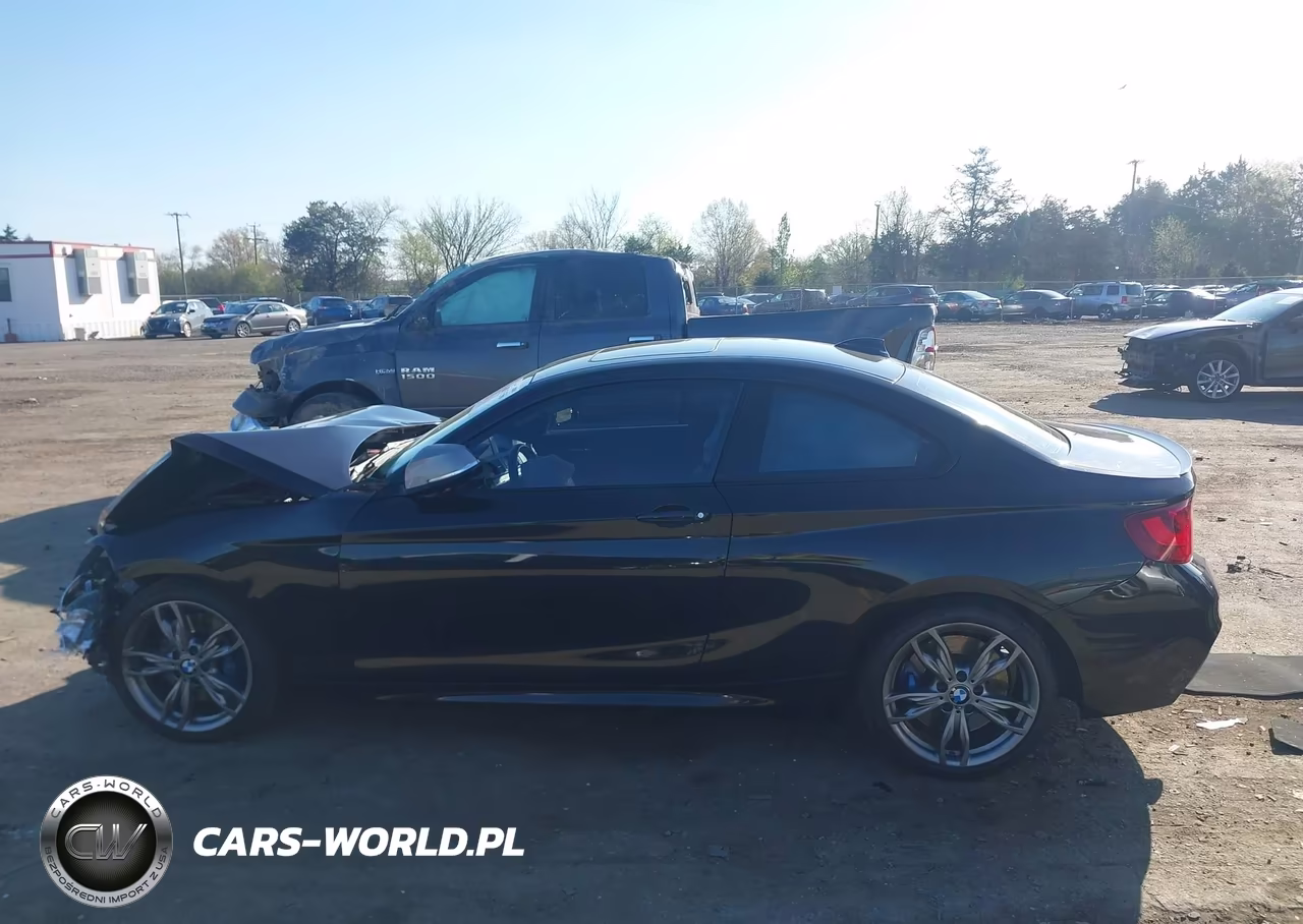2015 BMW M235 VIN:WBA1J7C51FV289206 - 15