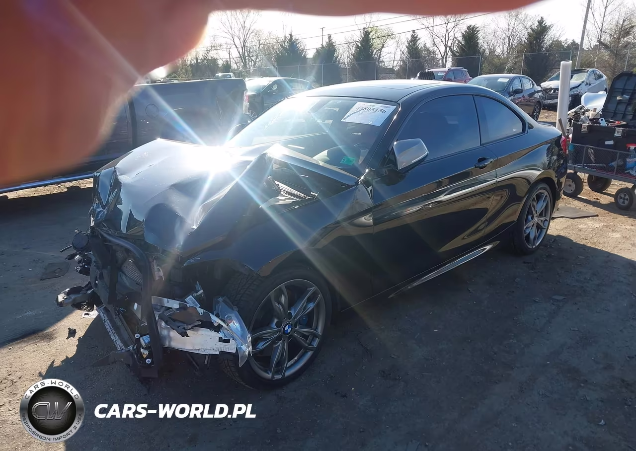 2015 BMW M235 VIN:WBA1J7C51FV289206 - 2