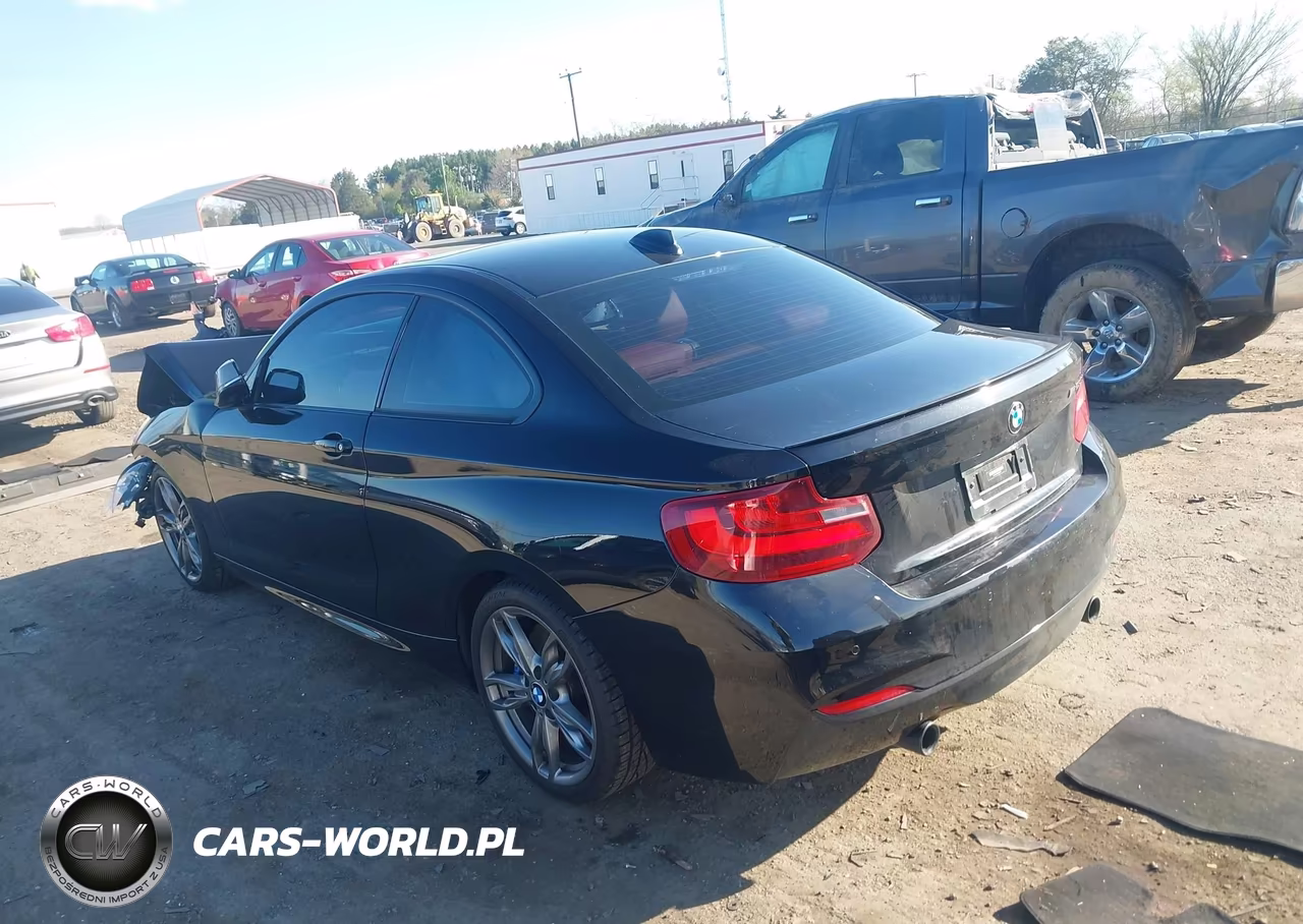 2015 BMW M235 VIN:WBA1J7C51FV289206 - 3