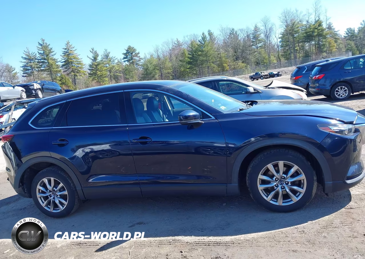 2018 Mazda Cx-9 Touring VIN:JM3TCBCY6J0225274 - 12