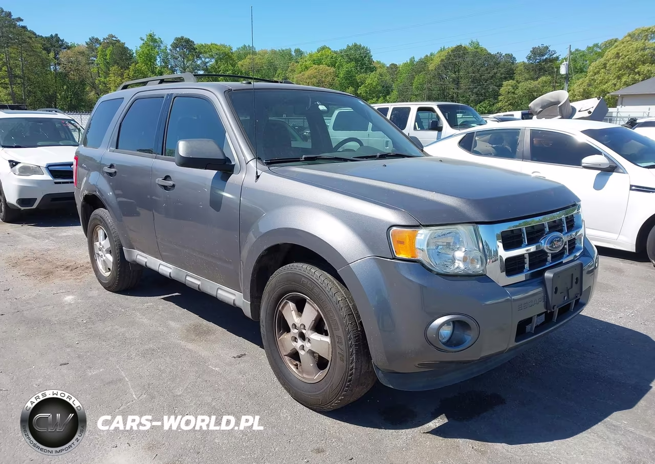 2010 Ford Escape Xlt