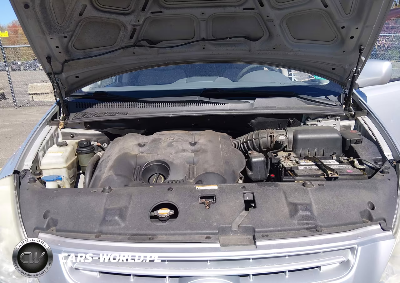 2009 Kia Sedona Lx VIN:KNDMB233996296207 - 10