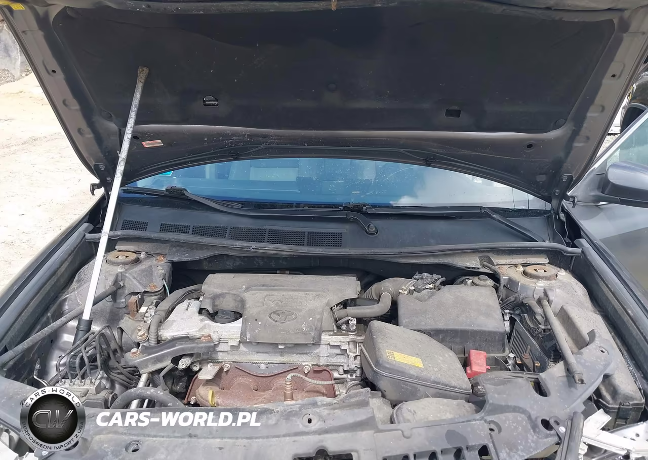 2014 Toyota Camry Xle VIN:4T4BF1FK9ER346894 - 10