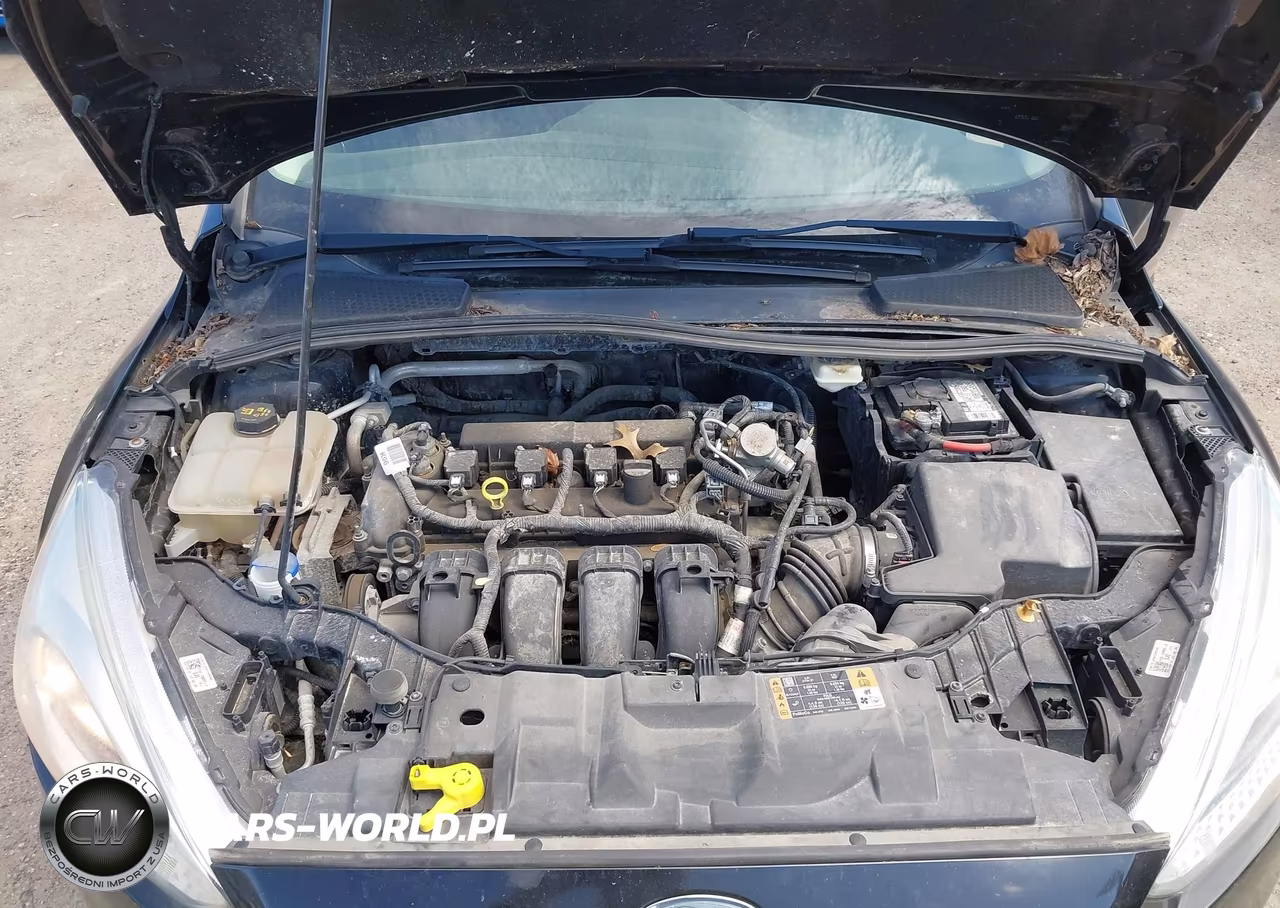 2017 Ford Focus Se VIN:1FADP3K29HL249183 - 10