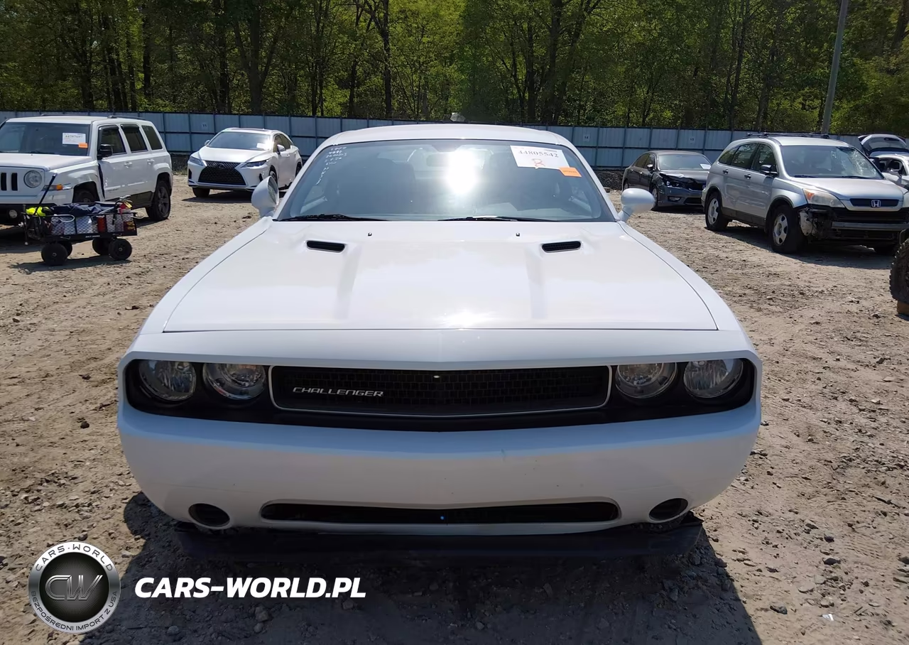 2013 Dodge Challenger Sxt VIN:2C3CDYAG8DH729011 - 12