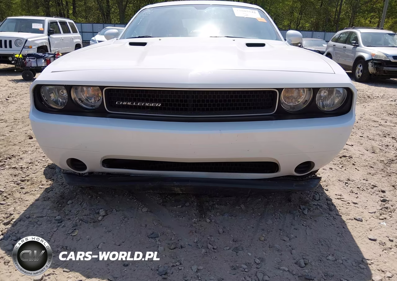 2013 Dodge Challenger Sxt VIN:2C3CDYAG8DH729011 - 18