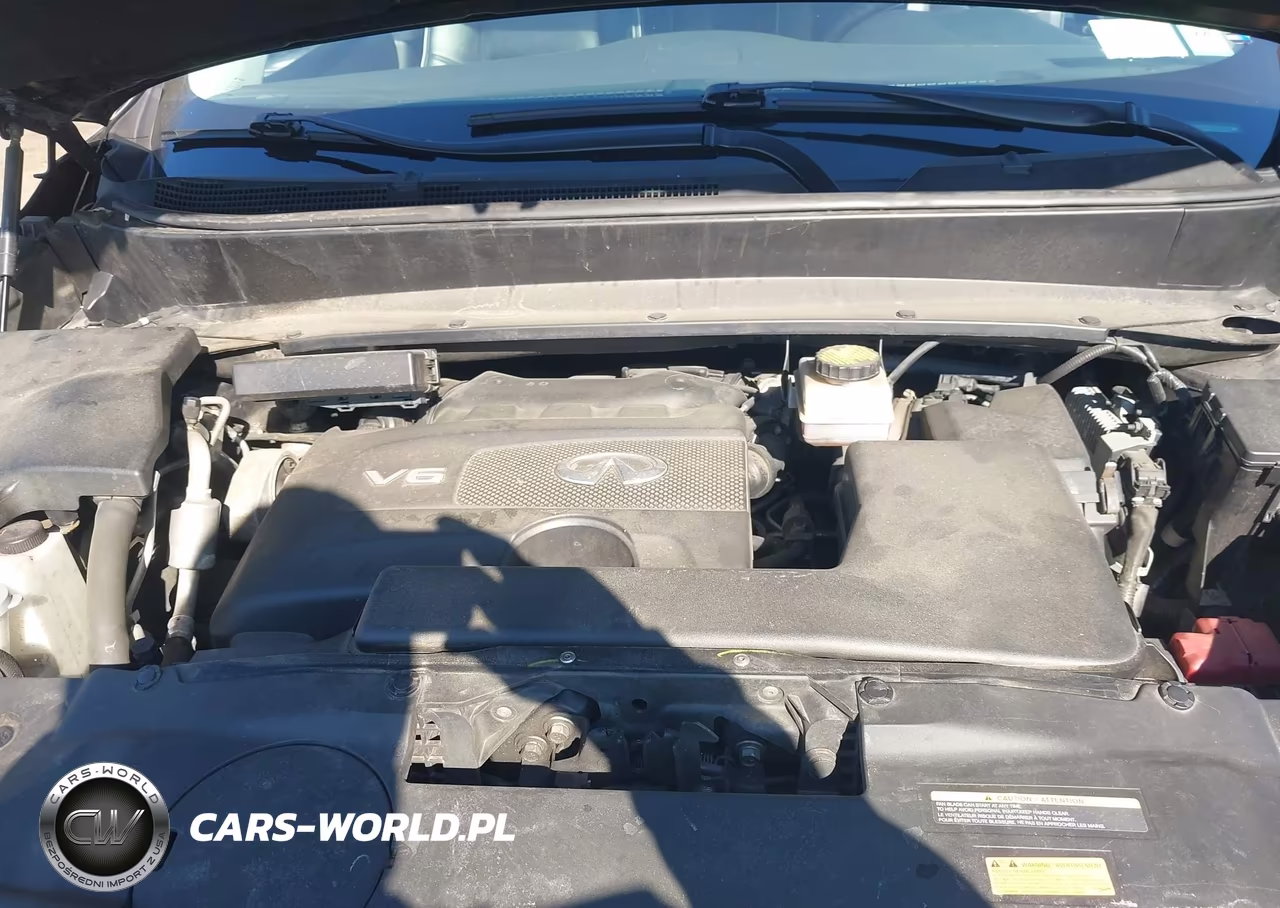 2019 Infiniti Qx60 Pure VIN:5N1DL0MN0KC564405 - 10