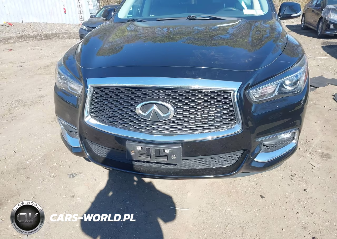 2019 Infiniti Qx60 Pure VIN:5N1DL0MN0KC564405 - 12