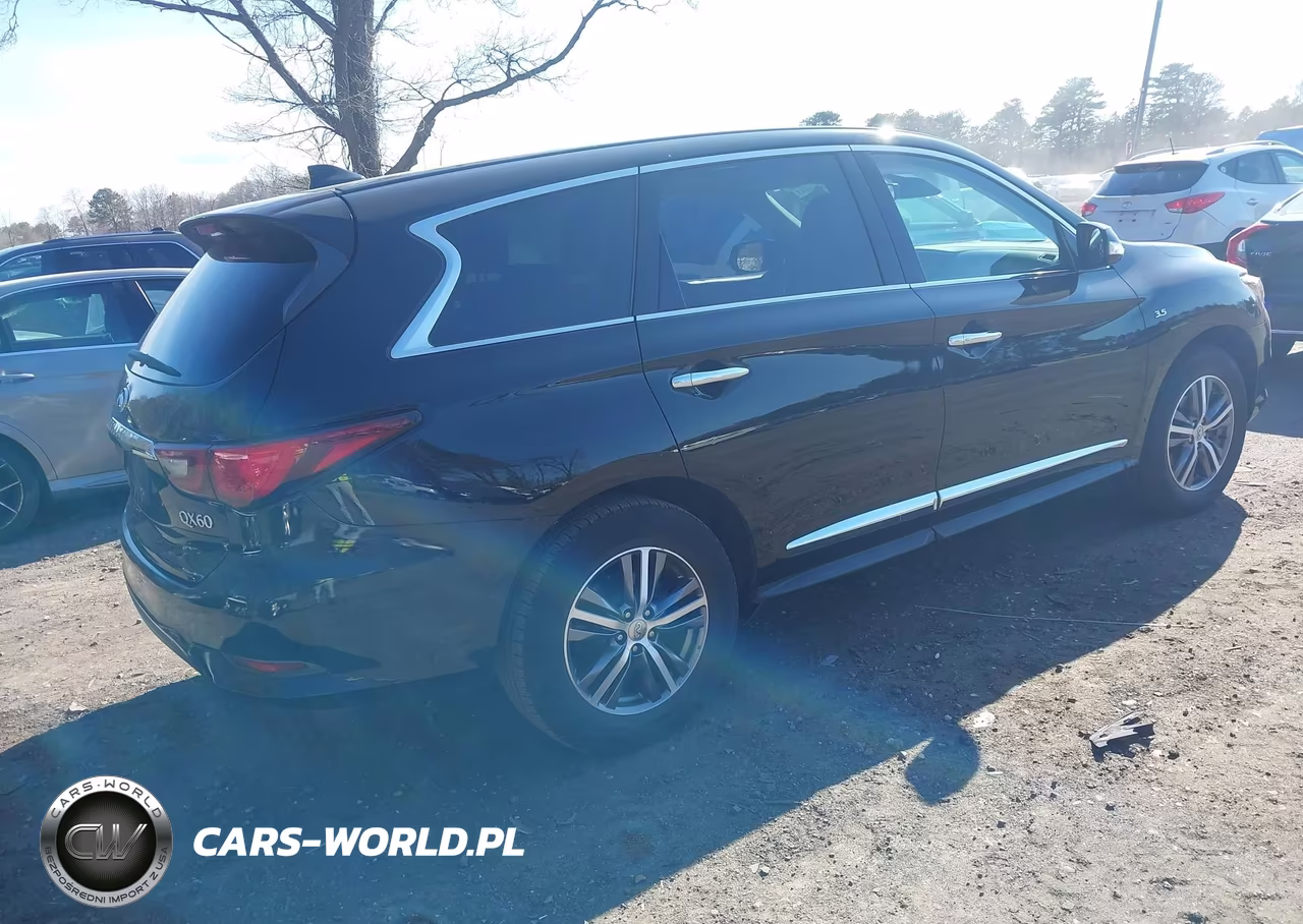 2019 Infiniti Qx60 Pure VIN:5N1DL0MN0KC564405 - 4