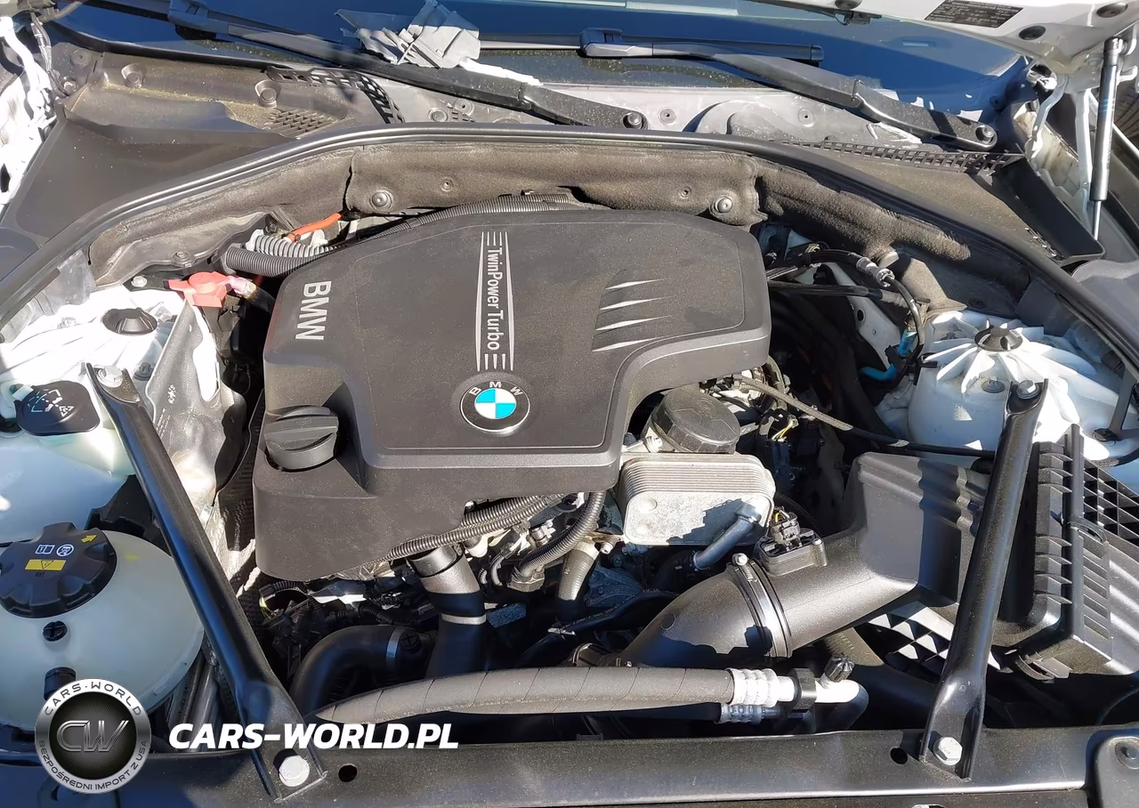 2016 BMW 528I xDrive VIN:WBA5A7C51GG643507 - 10