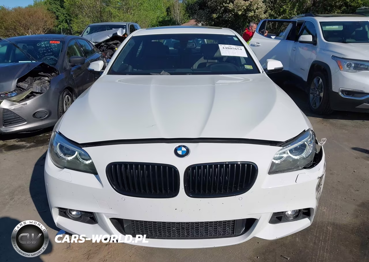 2016 BMW 528I xDrive VIN:WBA5A7C51GG643507 - 12